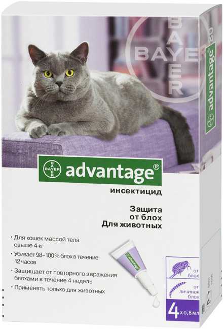 Купить Адвантейдж для кошек (4 пипетки) по низкой цене – описание,  инструкция по применению пипеток