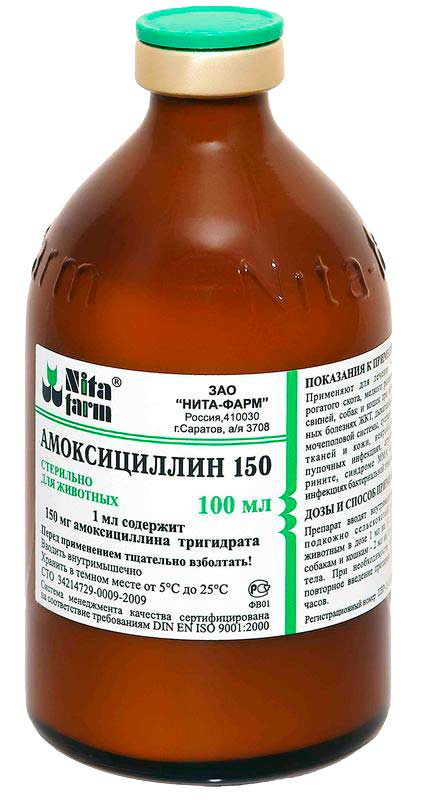 Amoxicillin Clavulanic Acid  -  7