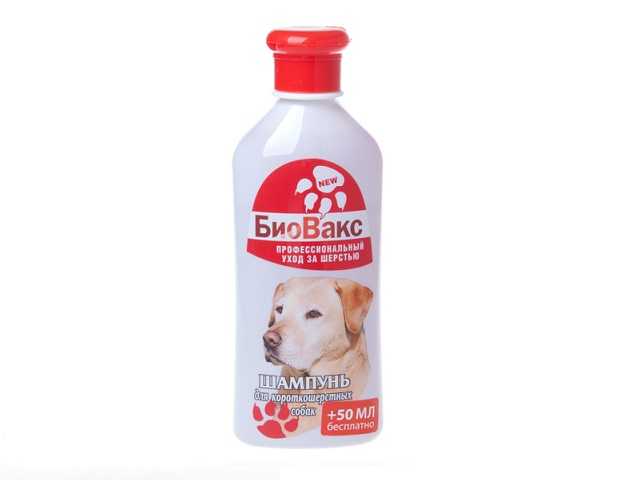 БиоВакс - Шампунь для короткошерстных собак