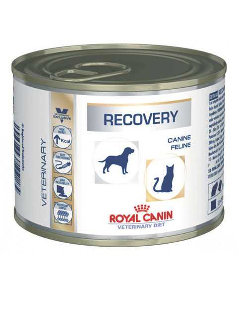 Royal Canin (Роял Канин) Recovery - Диетический корм для собак и кошек в период восстановления