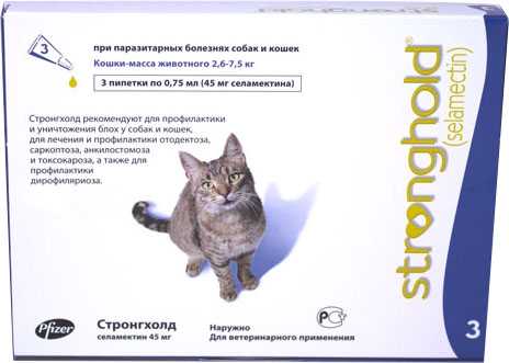 Блохи у кошек: симптомы, диагноз, как избавиться, препараты, Ветеринарная служба Владимирской области