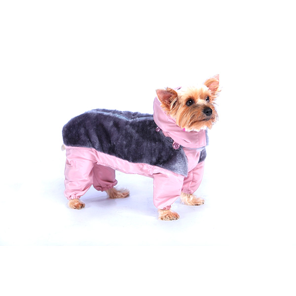 DOG-ателье: пошив одежды и вязание [Архив] - Международный форум о пород китайская хохлатая собака