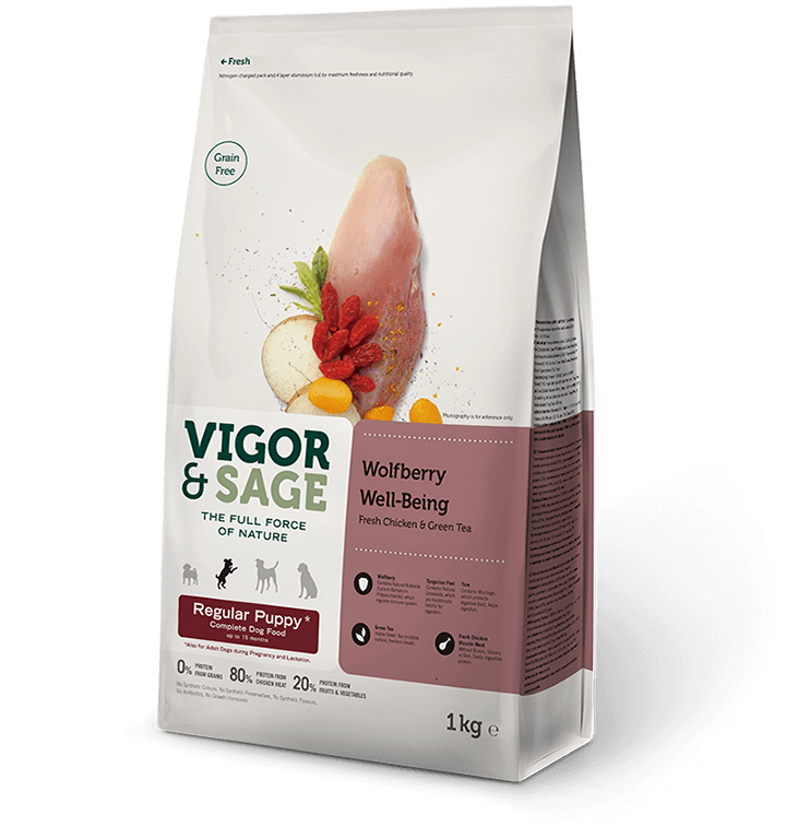 Vigor & Sage (Вигор) - Сухой беззерновой корм для беременных, кормящих собак и щенков ягоды годжи здоровье и долголетие курица