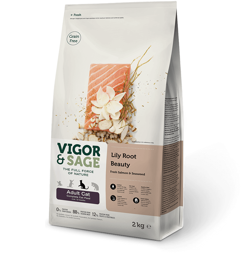 Vigor & Sage (Вигор) - Сухой беззерновой корм для взрослых кошек корень лилии для красоты свежий лосось и морские водоросли