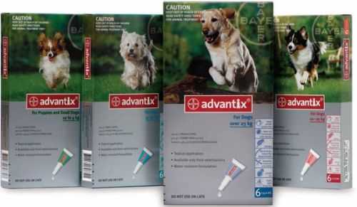 Bayer Advantix (Байер Адвантикс) - Капли для Собак (1 пипетка)