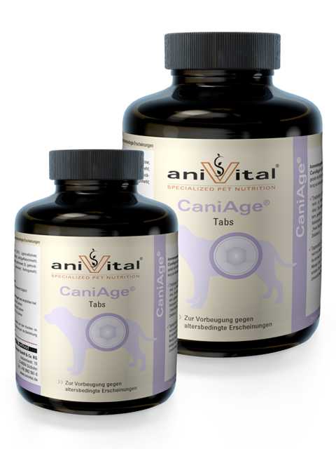 Anivital (Анивитал) CaniAge - Дополнительное питание для пожилых собак с Омега-3