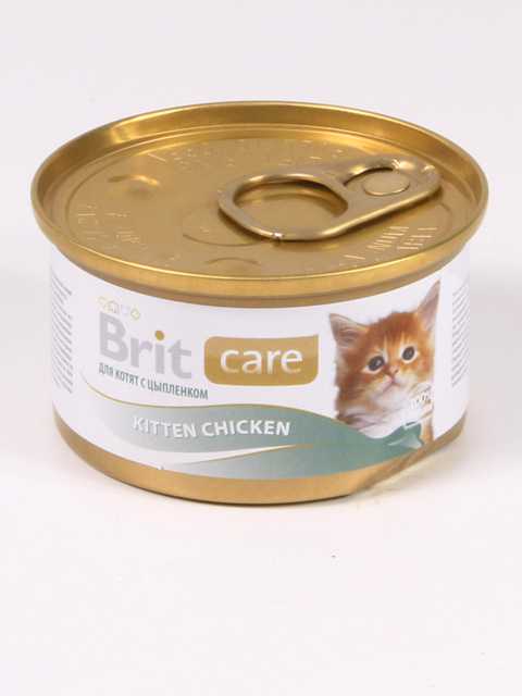 Брит кеа. Брит Кеа консервы для кошек. Brit Care корм для котят. Brit Care Superfruits Kitten лакомство. Brit Care Kitten Chicken.