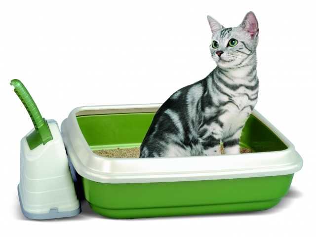 Imac (Имак) - Туалет для кошек с бортом и совком Duo 59х40х28 см