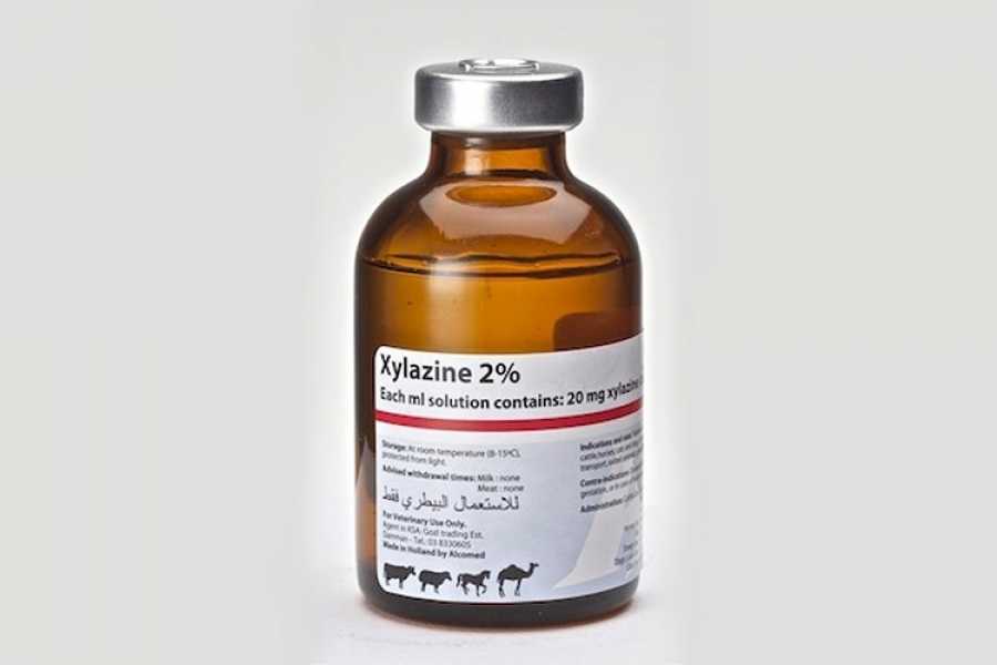 Ксилазин 2% (Xylazin 2%)