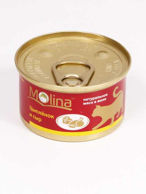 Molina (Молина) - Корм для кошек с Цыпленком и Сыром (Банка)