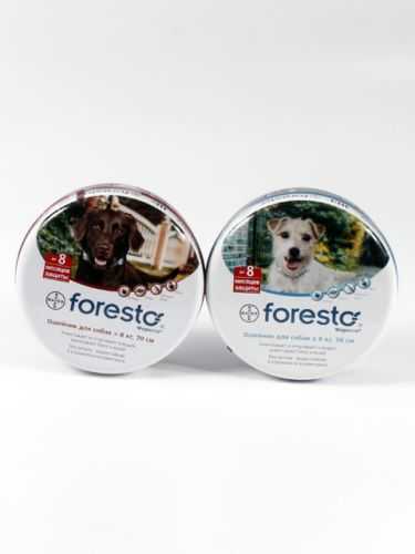 Bayer (Байер) Foresto - Форесто ошейник для собак
