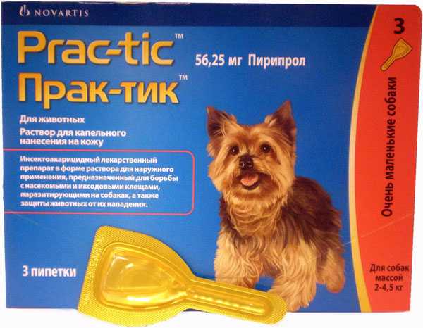Practik (Практик) - Капли для собак (1 пипетка)