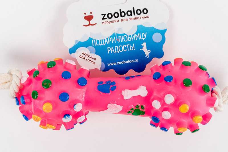 ZooBaloo - Игрушка для собак "Гантель" с х/б веревкой