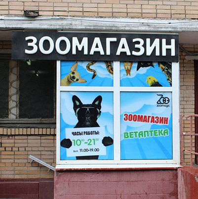 Zoomagic